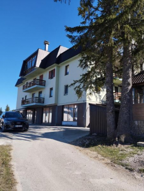 Apartman Pinja